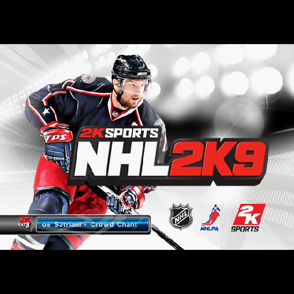 
                                      NHL 2K9｜
                                      スパイク｜                                      プレイステーション2 (PS2)                                      のゲーム画面